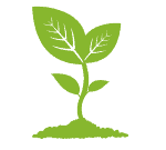 green plant icon